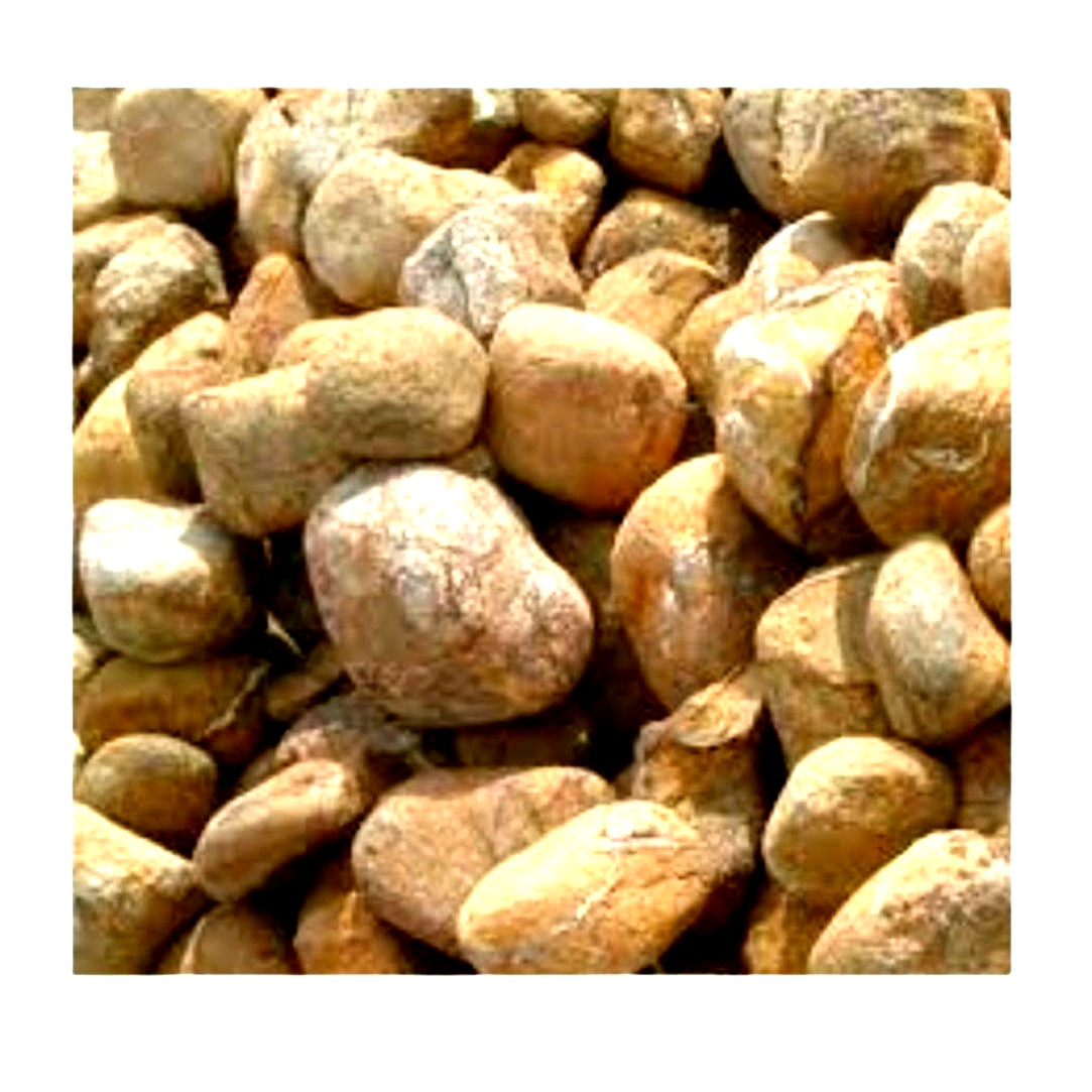 Forest Brown Pebbles